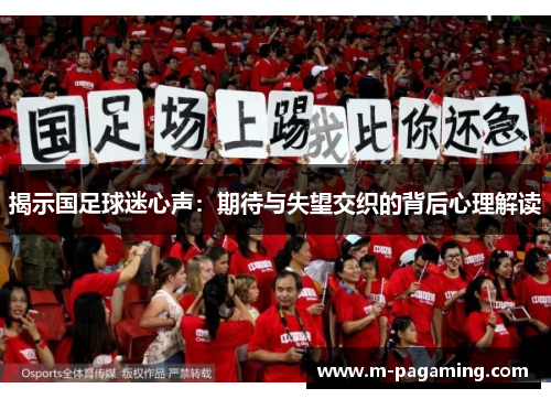 揭示国足球迷心声：期待与失望交织的背后心理解读