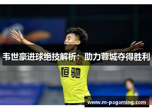韦世豪进球绝技解析：助力蓉城夺得胜利