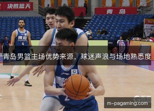 青岛男篮主场优势来源，球迷声浪与场地熟悉度